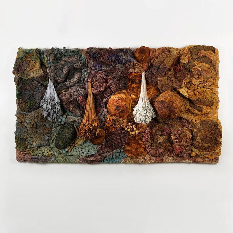 <a href=https://www.galeriegosserez.com/gosserez/artistes/l-c-lab.html> L&C Lab</a> - Biomater - Rectangular Shape
